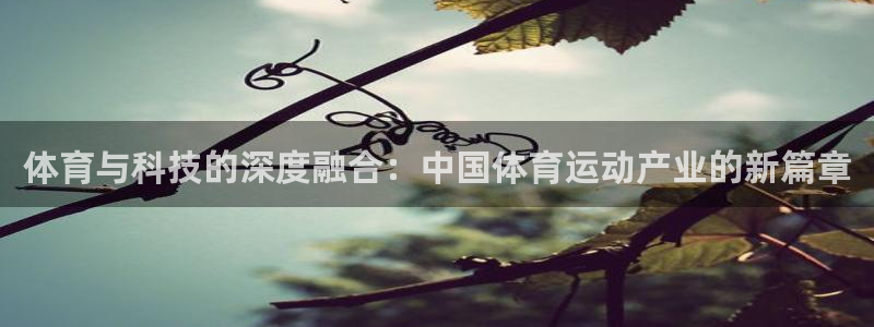 xc体育app官方网站：体育与科技的深度融合：中国体育运动产业的新篇章