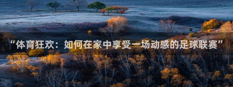 xc体育app官方网站：“体育狂欢：如何在家中享受一场动感的足球联赛”