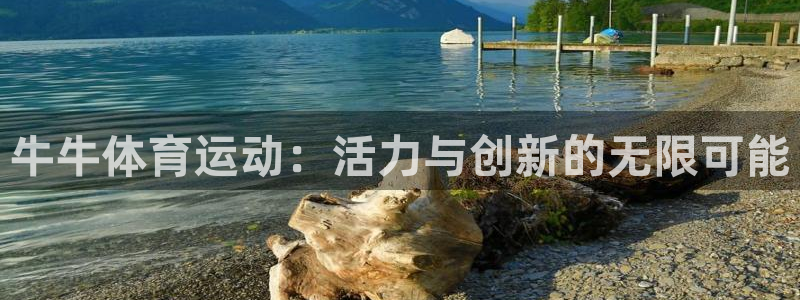 xc体育app官方网站：牛牛体育运动：活力与创新的无限可能