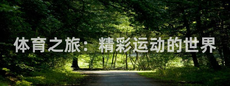 xc体育