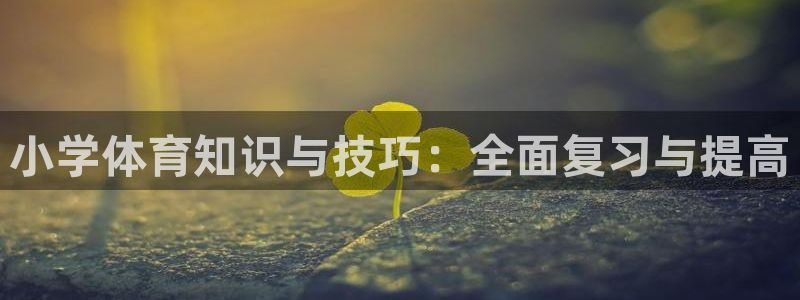 xc体育
