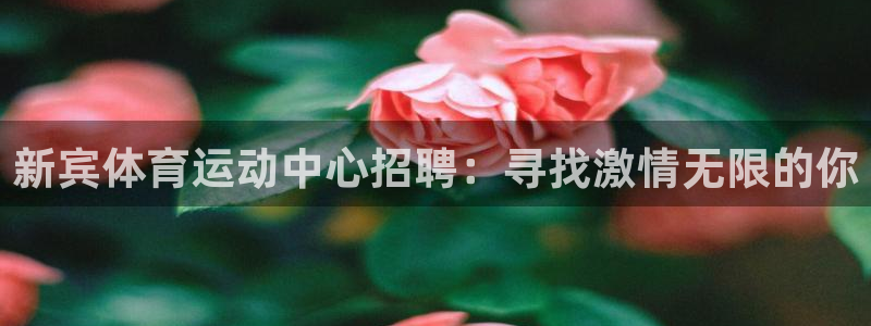 xc体育