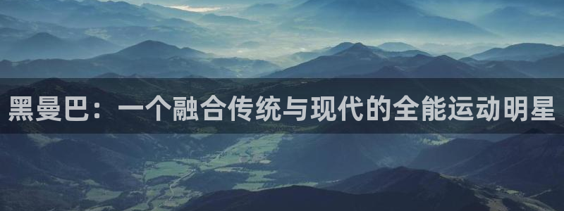 xc体育app官方网站