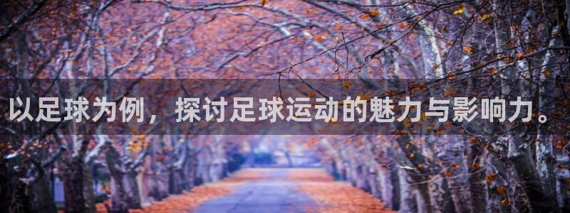 xc体育app官方网站