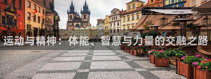 xc体育app官方网站