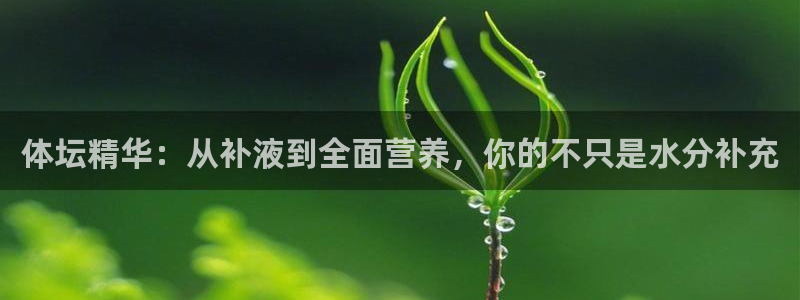 xc体育app官方网站