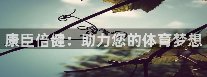xc体育