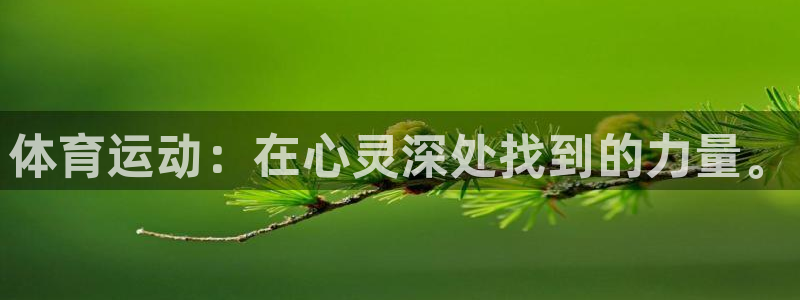 xc体育