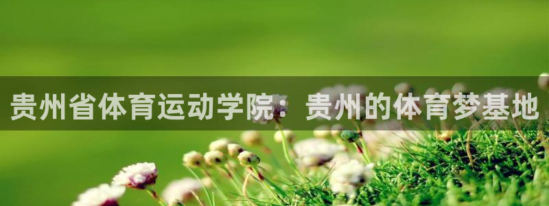 xc体育app官方网站