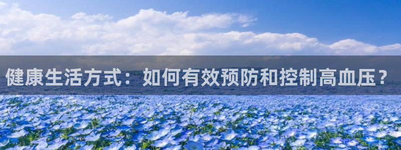 xc体育
